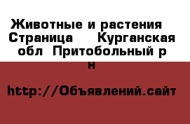  Животные и растения - Страница 7 . Курганская обл.,Притобольный р-н